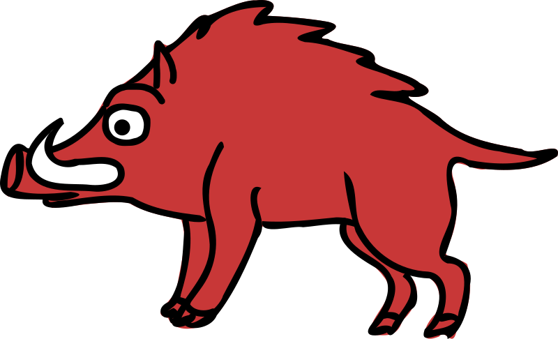 Boar