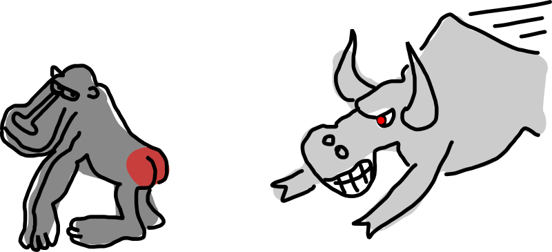 Baboon and bull