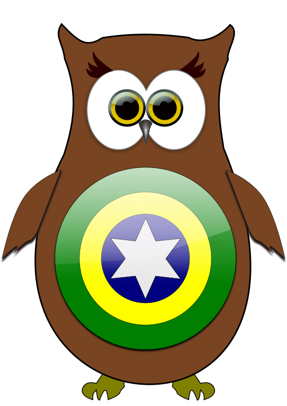 Brazil Owl Hero