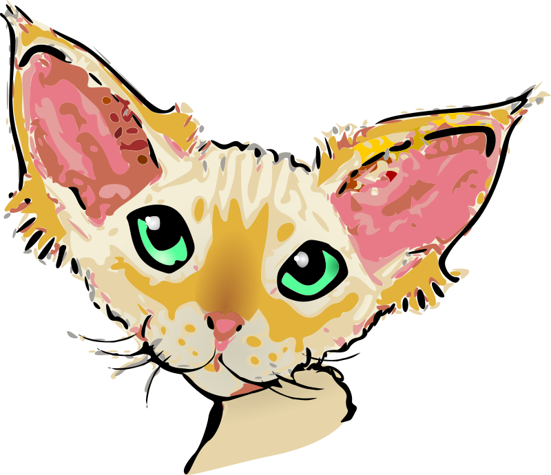 Devon Rex 2