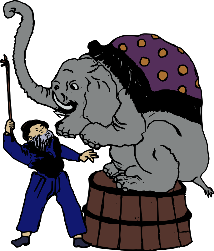 Elephant Trainer