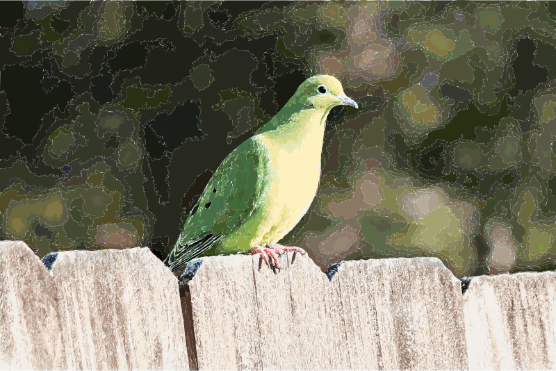Fence Bird
