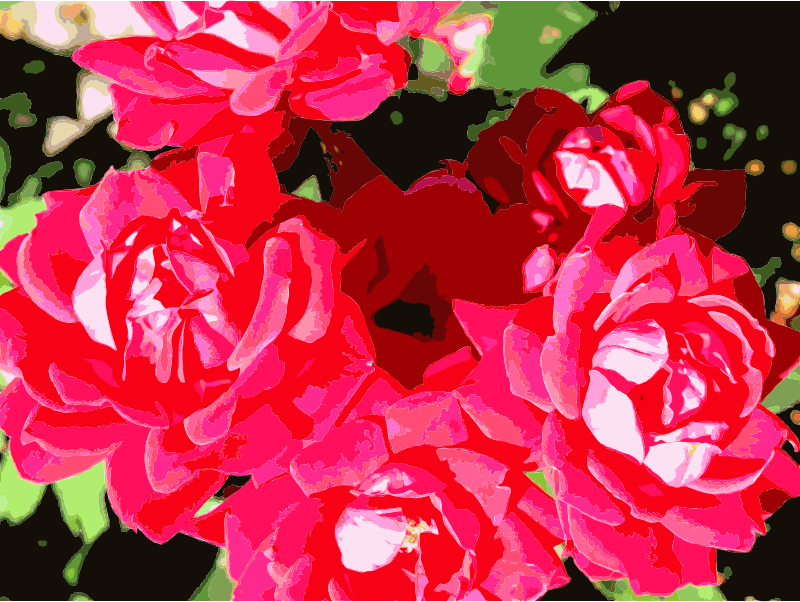 Bright Red Flowers