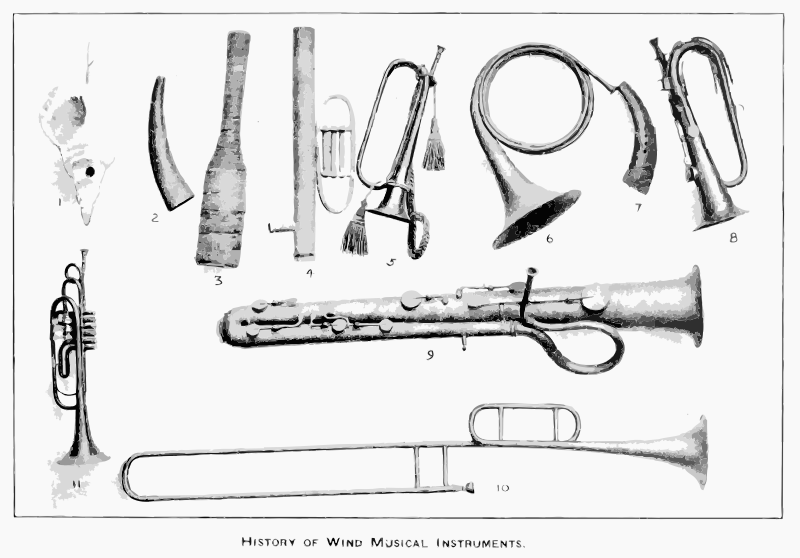 The History of Musical Instruments Grayscale