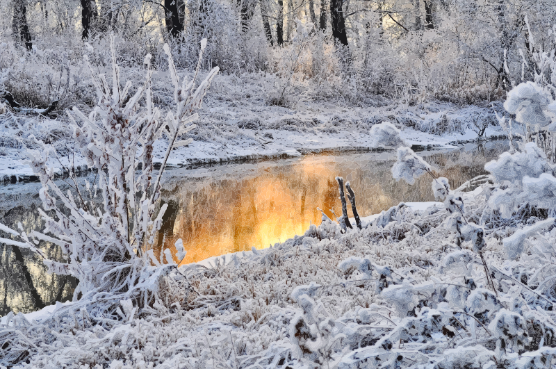 Sunset In Winter Daily Sketch