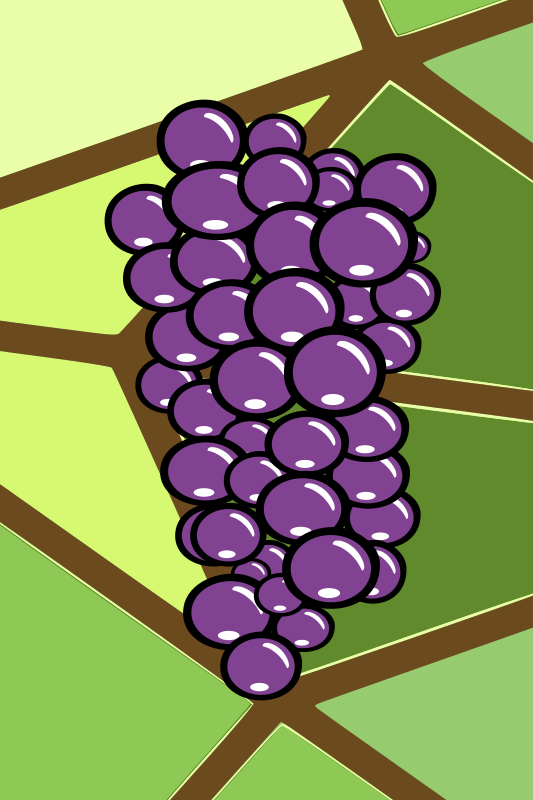 Grape