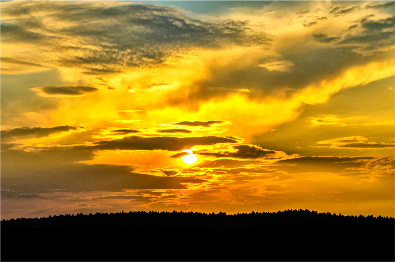 Sunset Silhouette