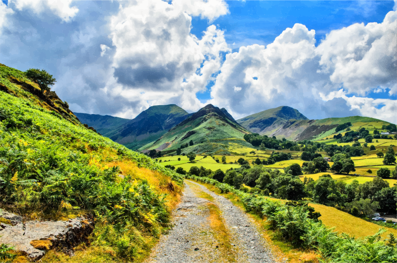 Green Rolling Hills Landscape