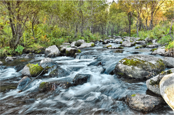 Fast Flowing River In The Woods