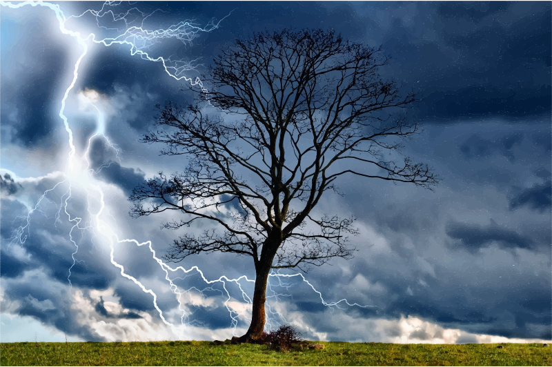 Lightning Tree