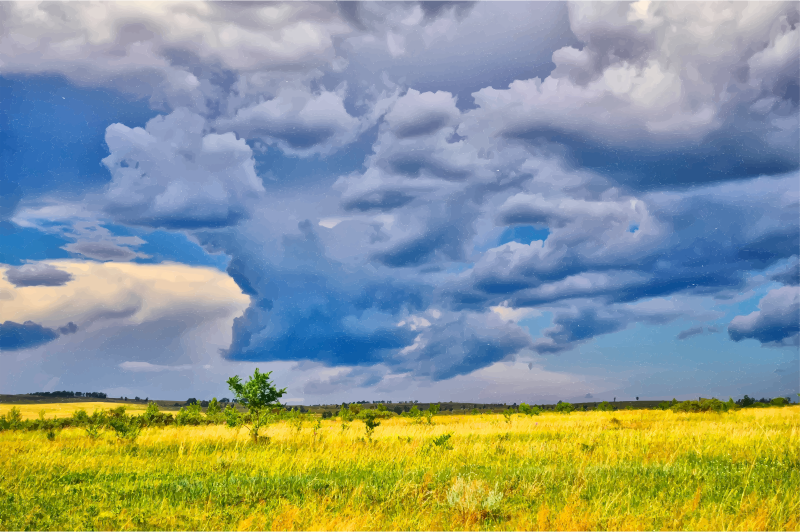 Dark Storm Clouds Over The Savannah