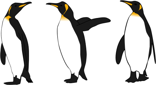 Three King Penguins