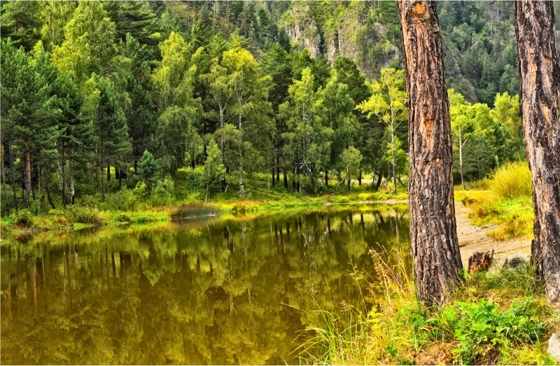 Autumn Lake Reflection