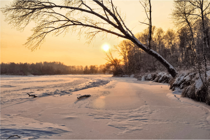 Winter Evening