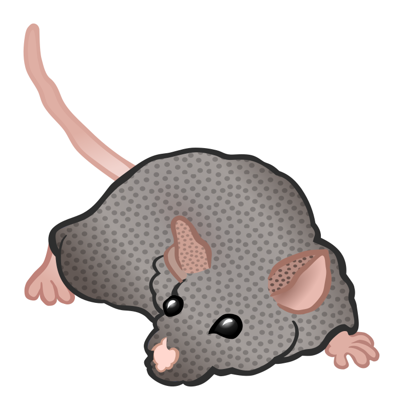 mouse - coloured