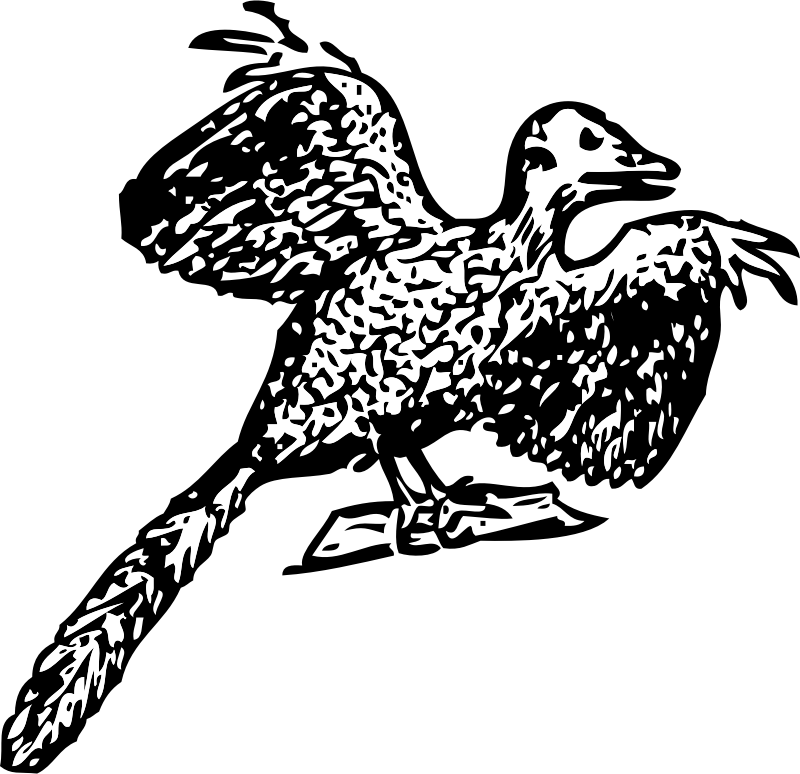 Archaeopteryx