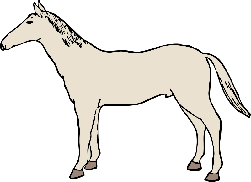 horse