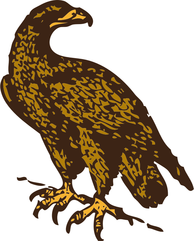 golden eagle