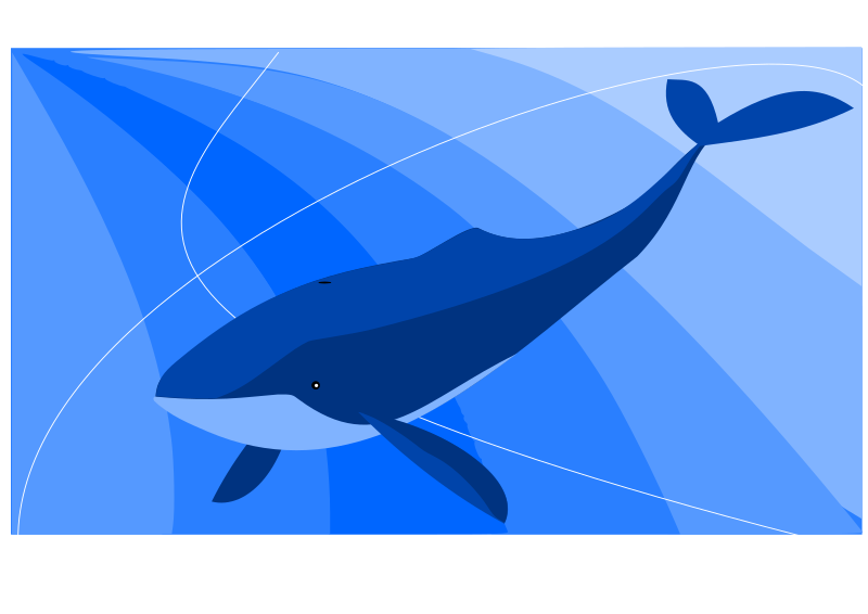 Whale