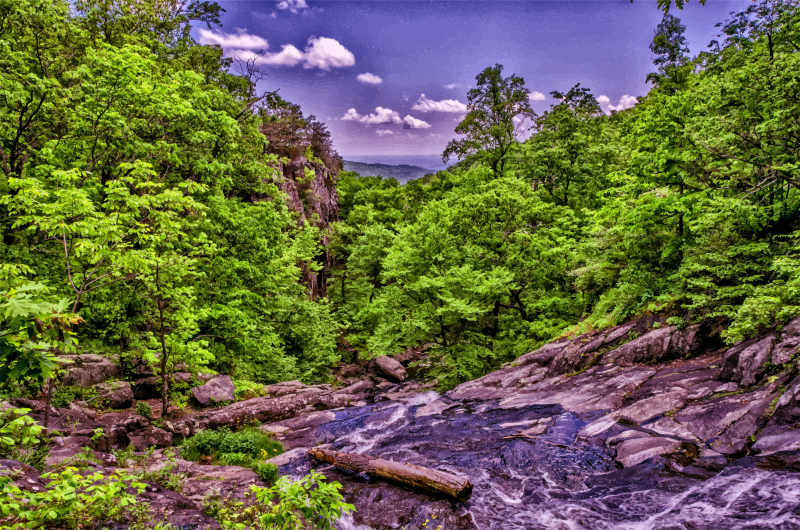 Mountain River Jungle