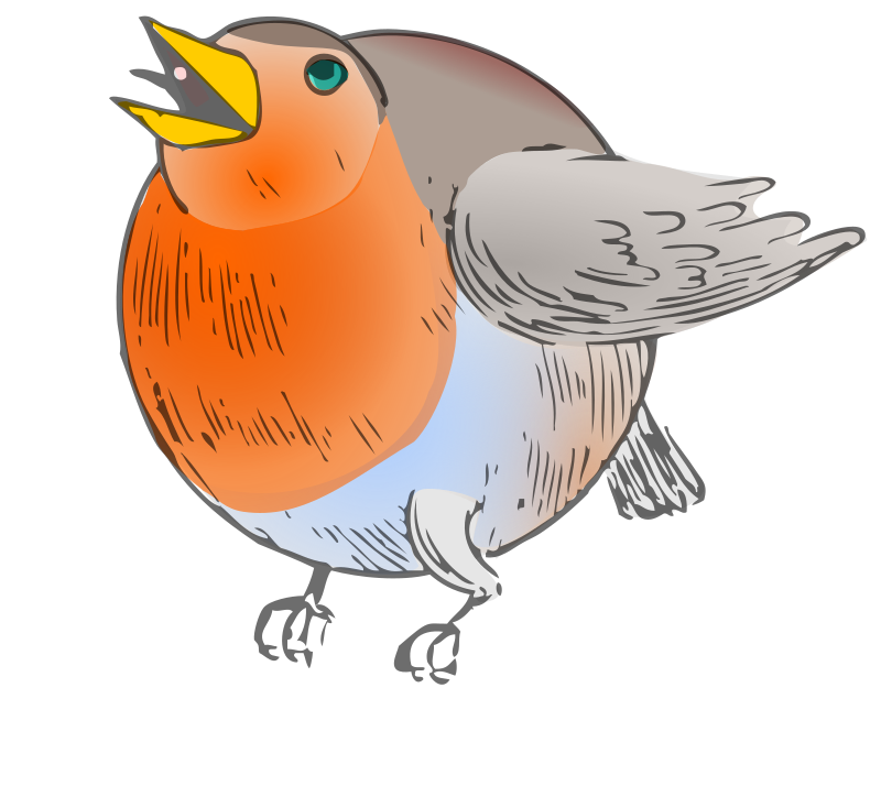 round robin - colored