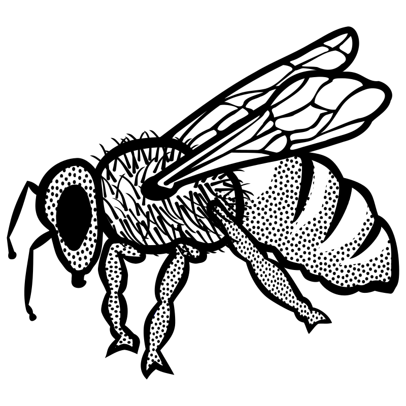 Bee (lineart)