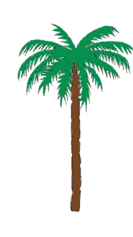 Palm Tree