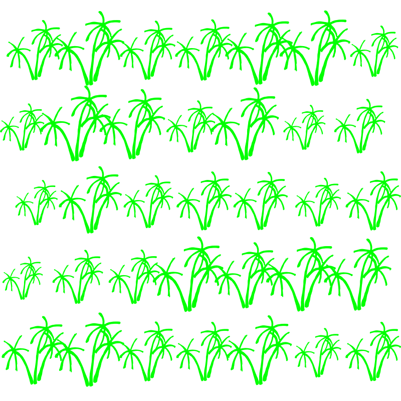 Palm Tree Pattern