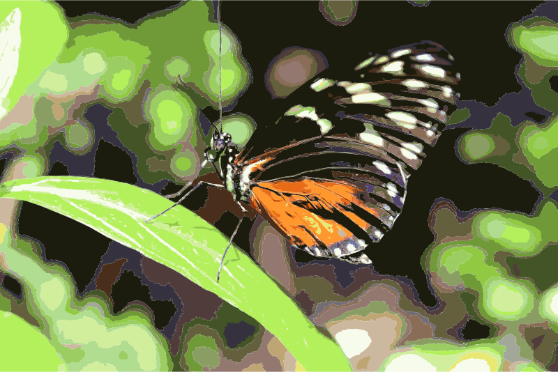 Butterfly on Leaf