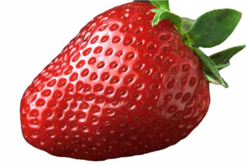 Red Ripe Strawberry