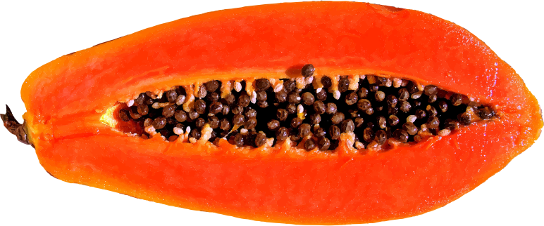 Papaya