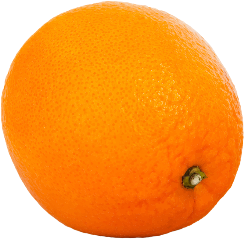 Orange Citrus