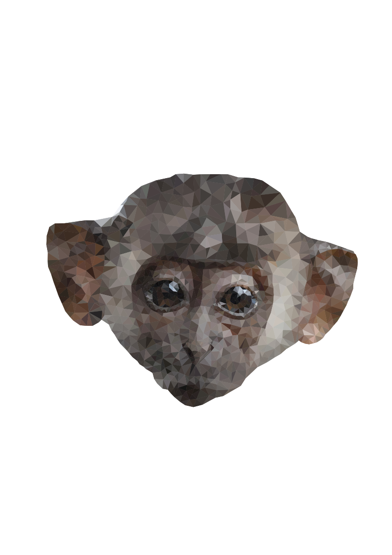 Low Poly Monkey