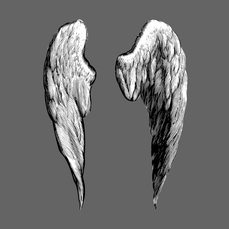 wings - Openclipart
