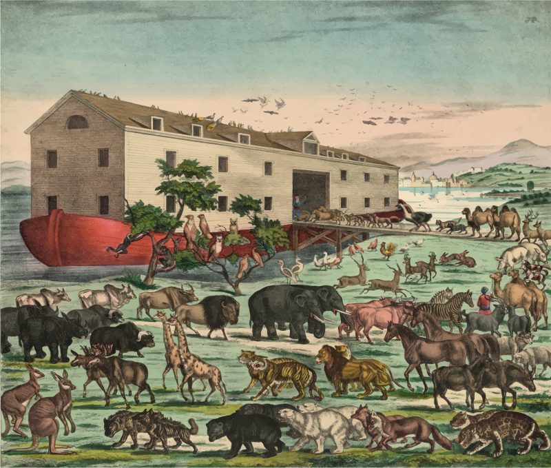 Noah's Ark Illustration