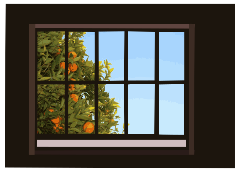 Window with orange tree