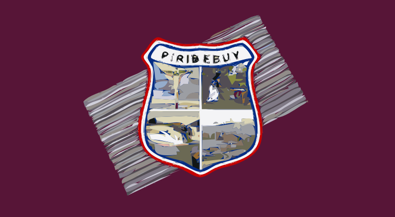 Bandera de Piribebuy.jpg