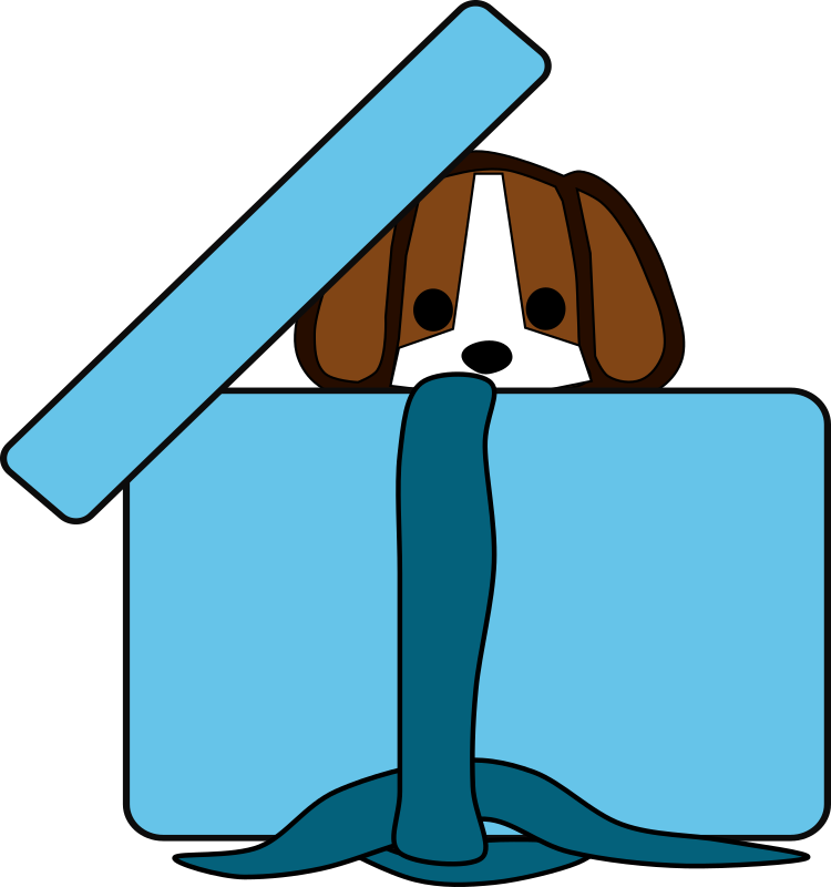 Beagle in a box