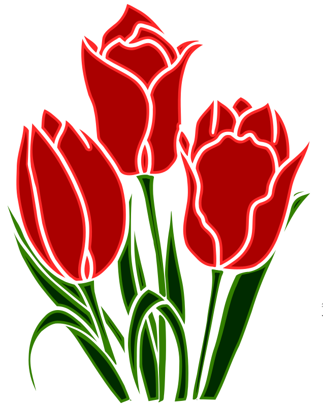 Tulip