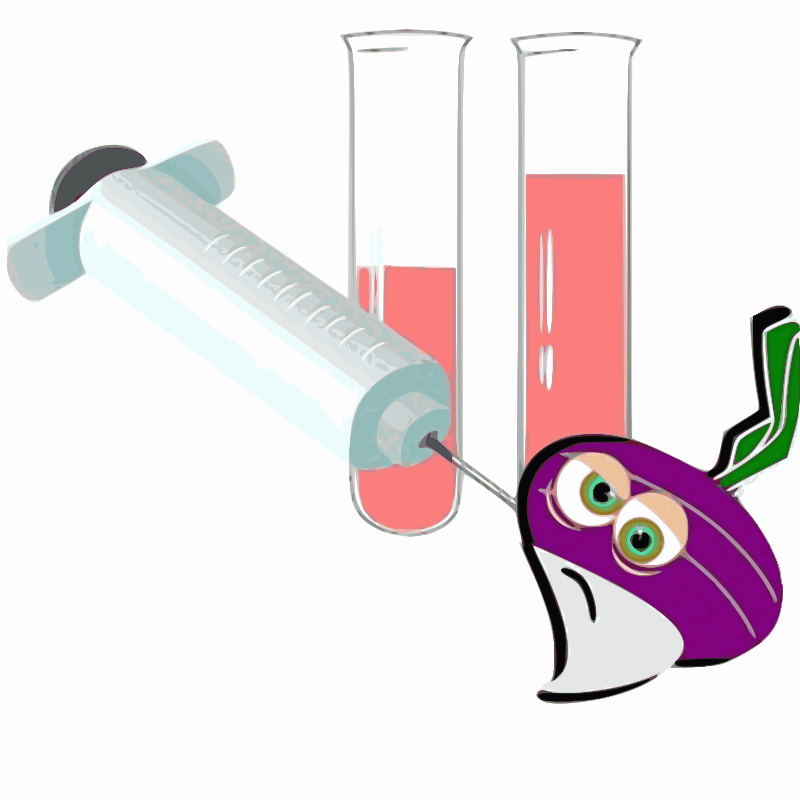 Syringe into veggie