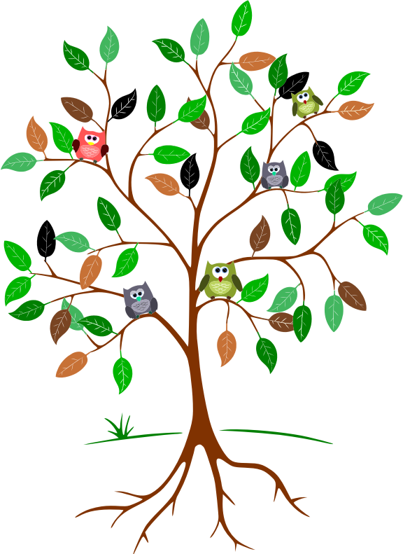 Owls In A Tree