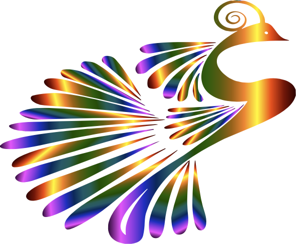 Stylized Peacock Colorful