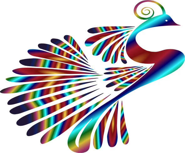 Stylized Peacock Colorful 3