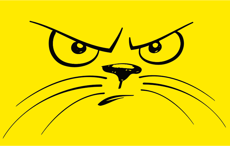 Unhappy Cat Face