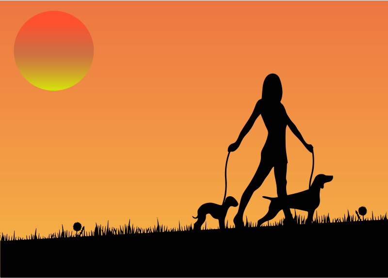 Woman Walking Dogs At Sunset