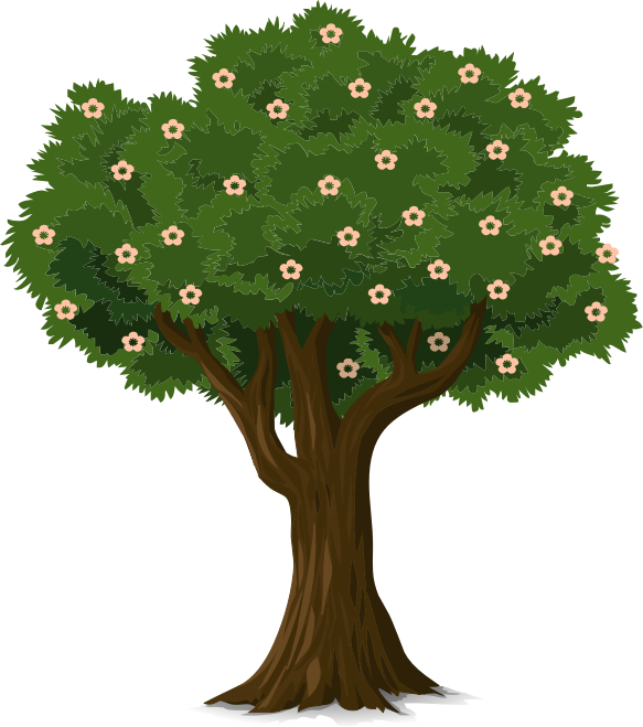 Detailed Tree