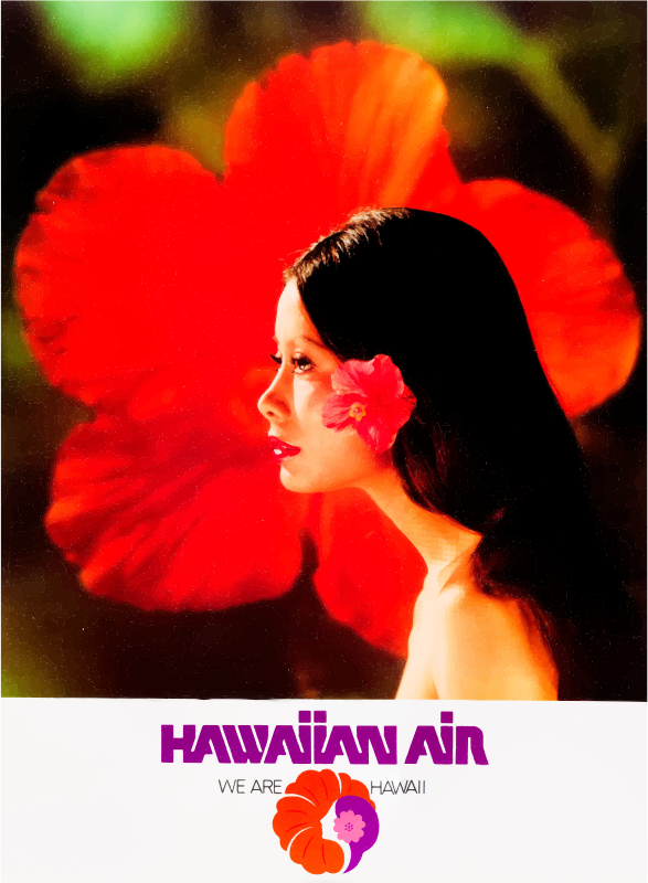 Vintage Travel Poster Hawaii