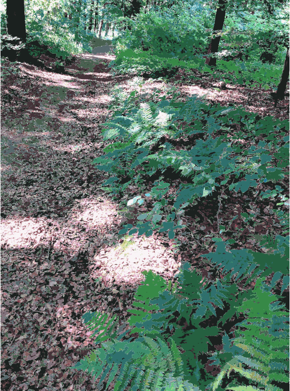 Lichtscheid Forest Again