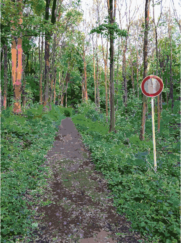 Lichtscheid Forest Again 2