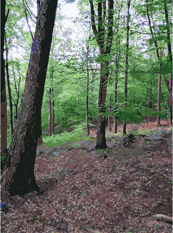 Lichtscheid Forest Again 3